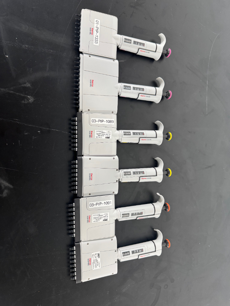 Image of Thermo F1-ClipTip Multichannel Pipettes - Quantity 6